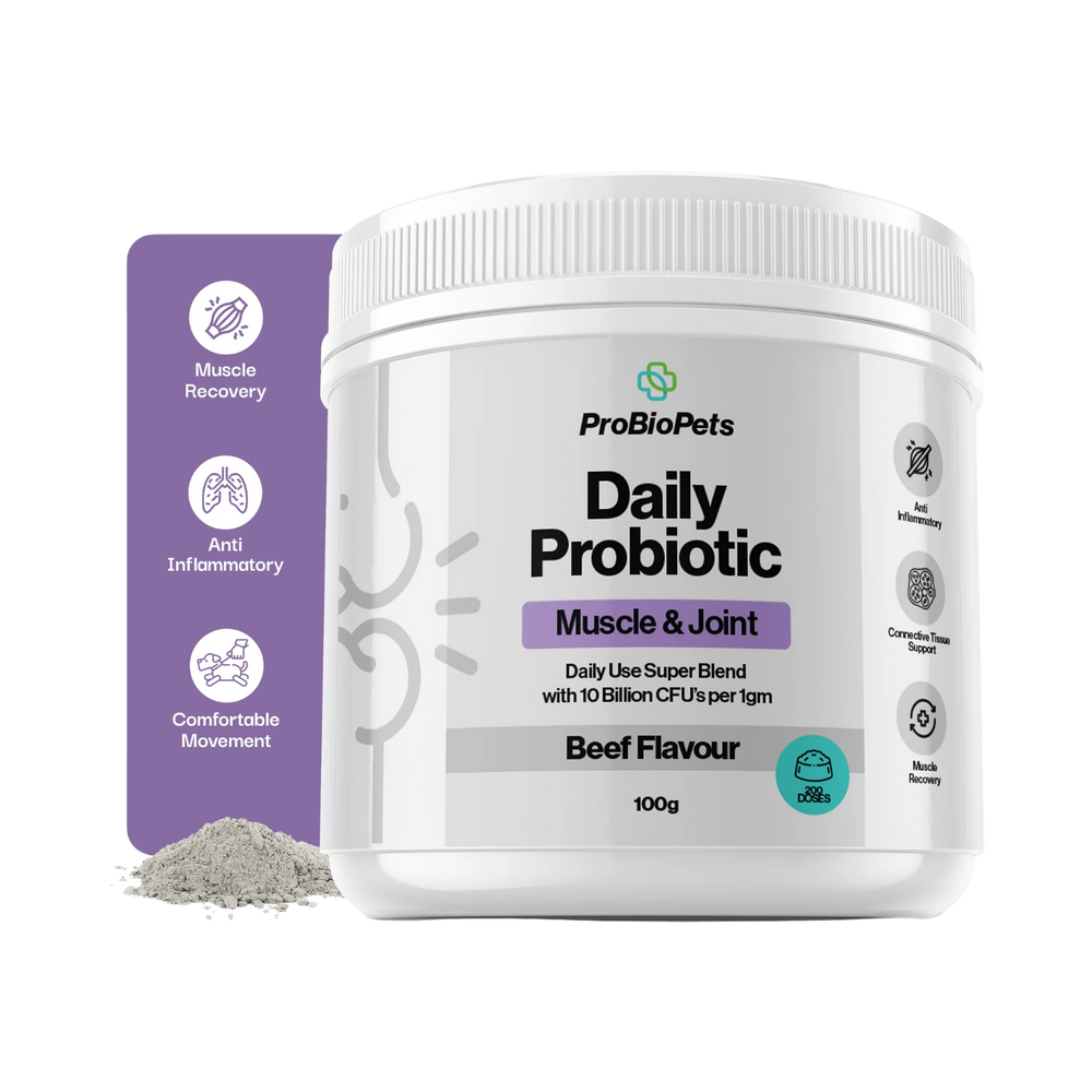 Muscle & Joint Probiotic Powder for Dogs & Cats packaging – Muscle Recovery