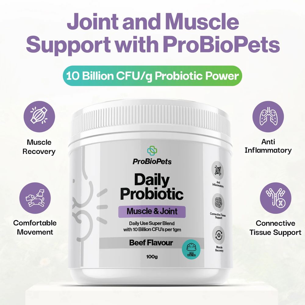 Muscle & Joint Probiotic Powder for Dogs & Cats product detail – Gut Health