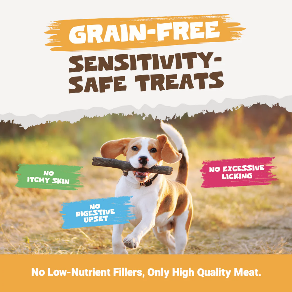 Natural Air Dried Chicken Meat Strips for Dogs 100g packaging – Grain Free