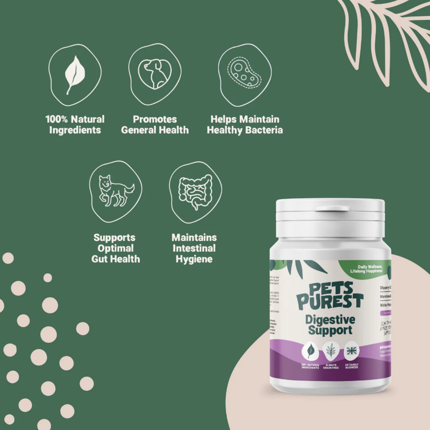 Natural Digestive Support Powder for Dogs & Cats | 100g packaging – Sensitive Stomach