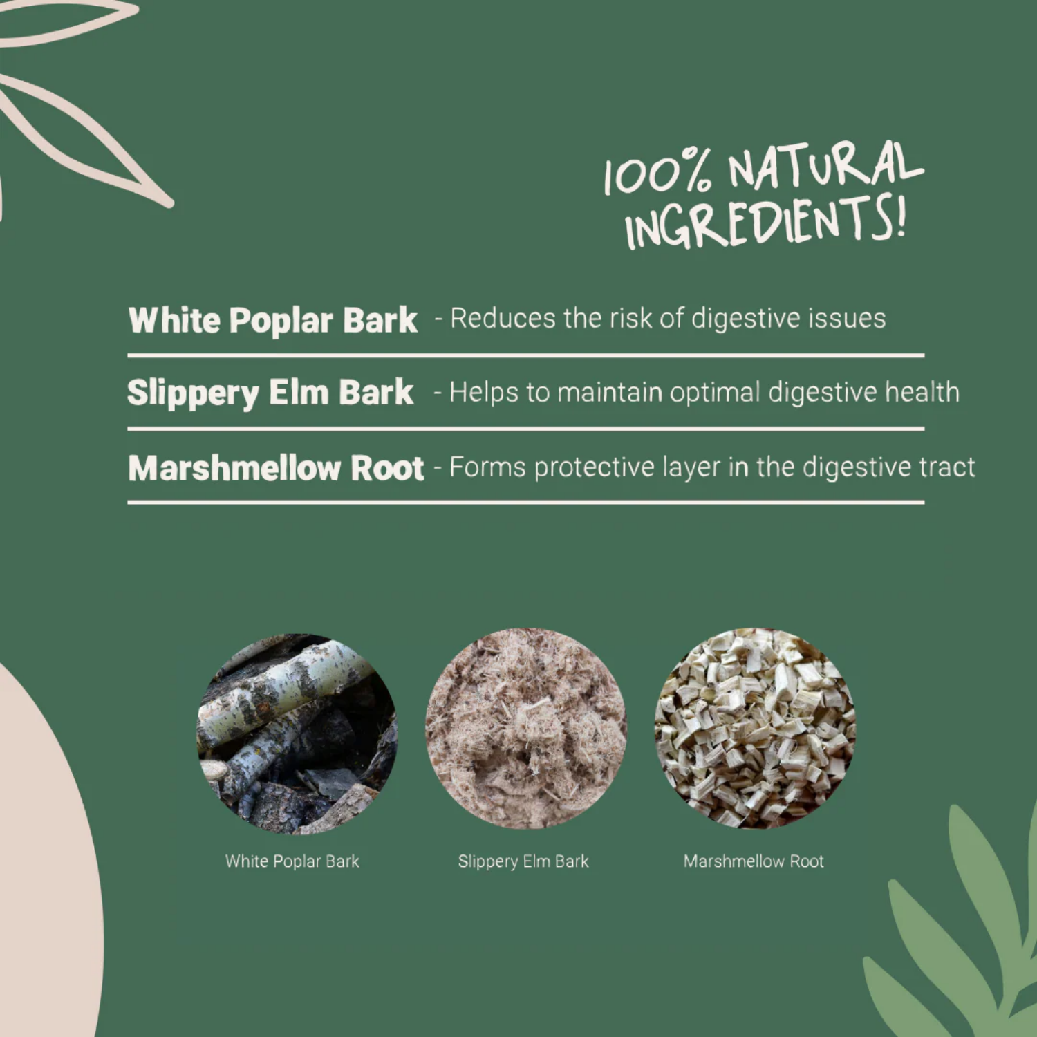 Natural Digestive Support Powder for Dogs & Cats | 100g product detail – Natural Formula