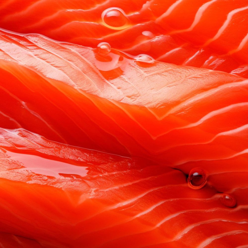 Supernature Oileez Salmon Oil 500ml bottle