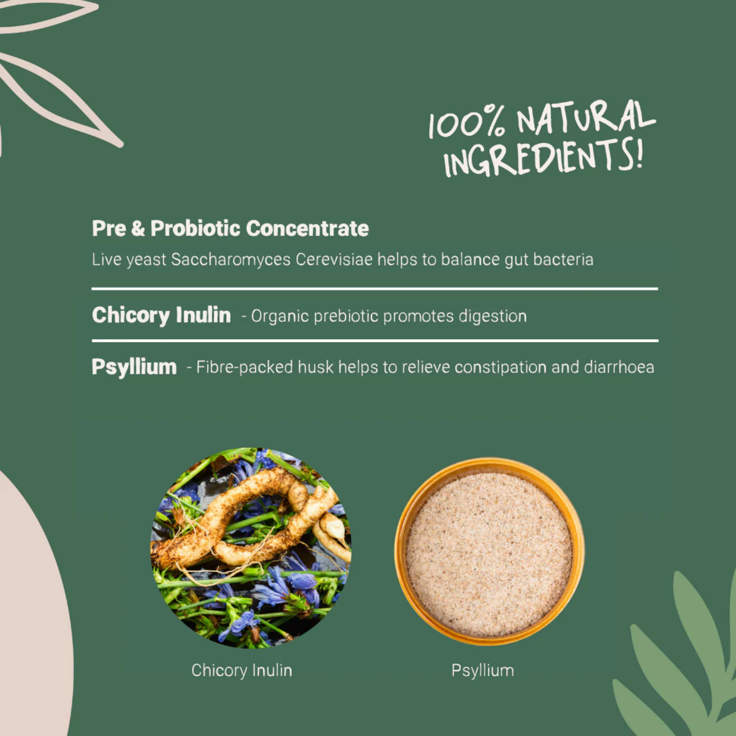 Natural Pre & Probiotic Powder for Dogs & Cats 100g usage view – Sensitive Stomachs