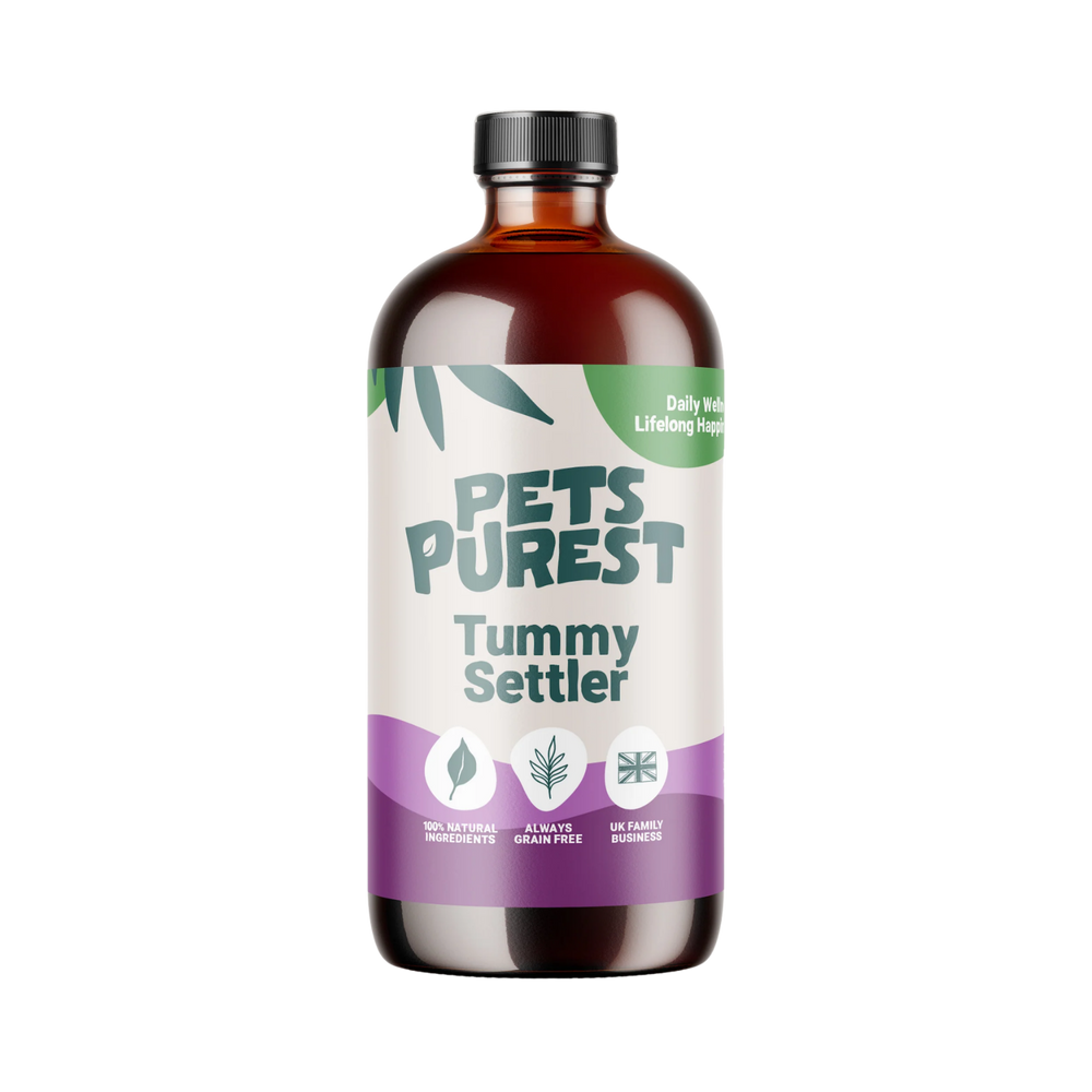 Natural Tummy Settler for Dogs & Cats - 250ml – Upset Stomach & Gut Health