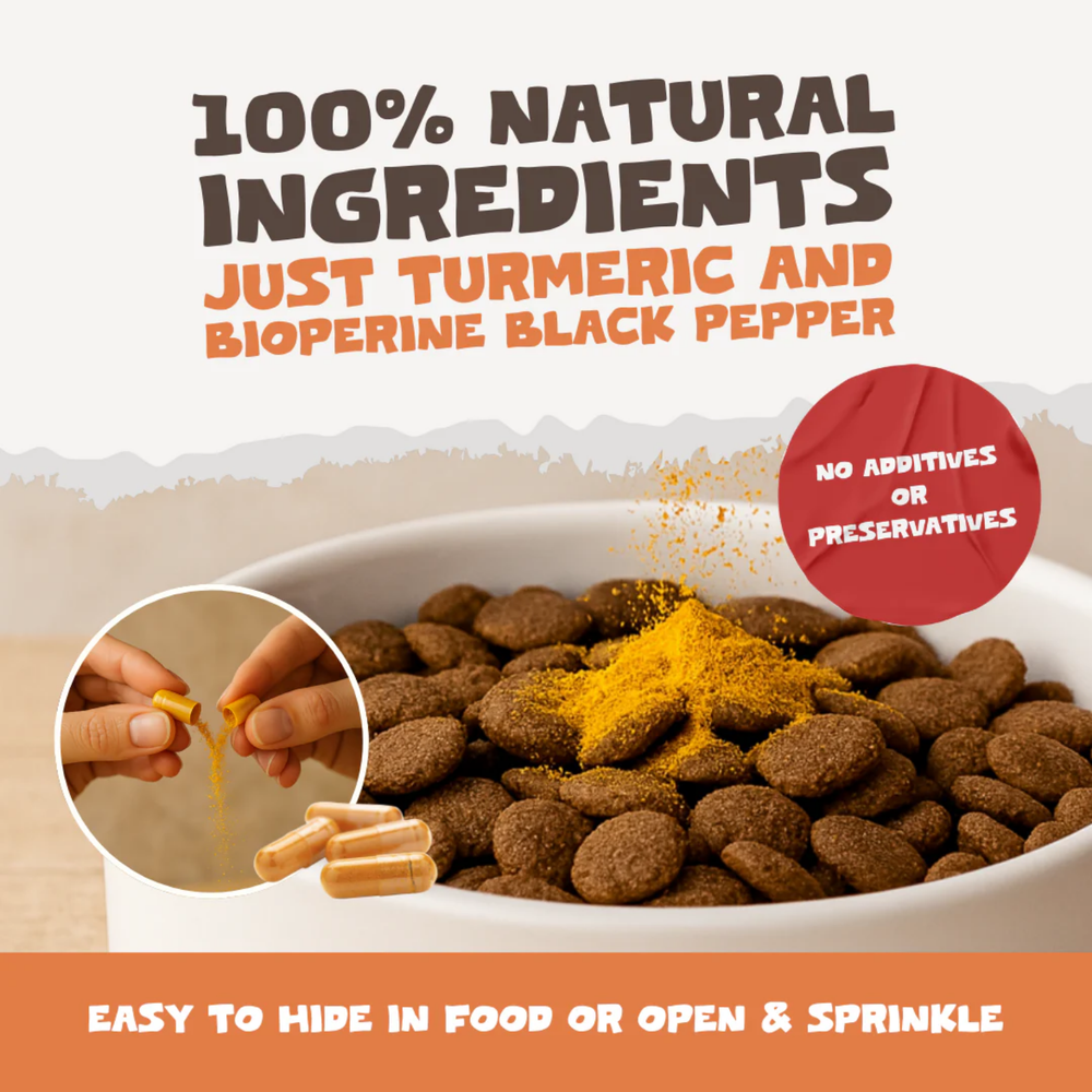 Natural Turmeric Curcumin Capsules for Dogs & Cats - 60 Caps packaging – Improved Mobility
