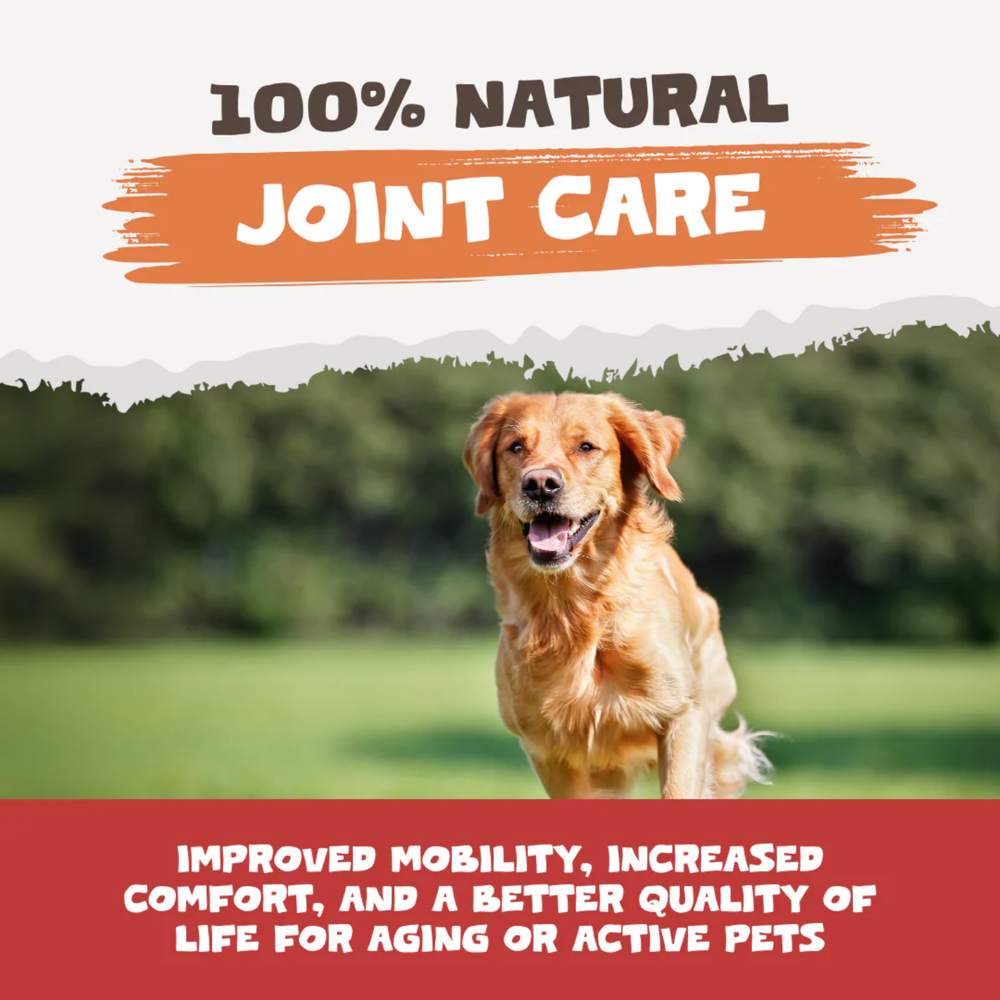 Natural Turmeric Curcumin Capsules for Dogs & Cats - 60 Caps product detail – Natural Formula