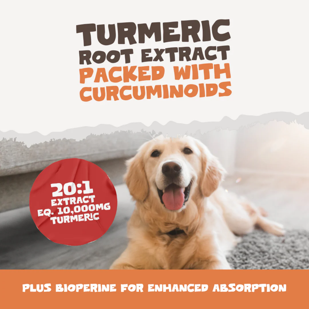 Natural Turmeric Curcumin Capsules for Dogs & Cats - 60 Caps usage view – Senior Pet Care