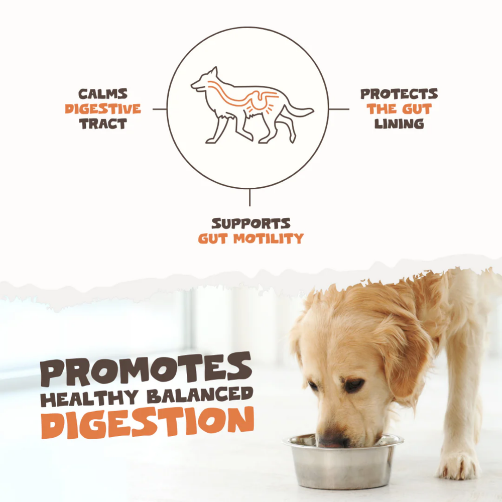Natural Turmeric Curcumin Capsules for Dogs & Cats - 60 Caps close-up – Joint Support