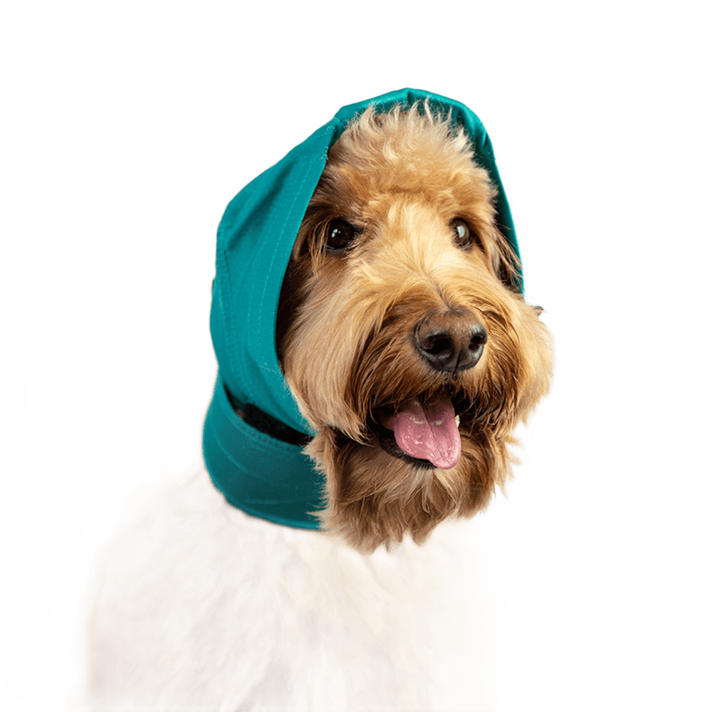 No Flap Ear Wrap for Dogs - Aural Haematoma Recovery – Prevents Re-Injury & Post-Surgery Support