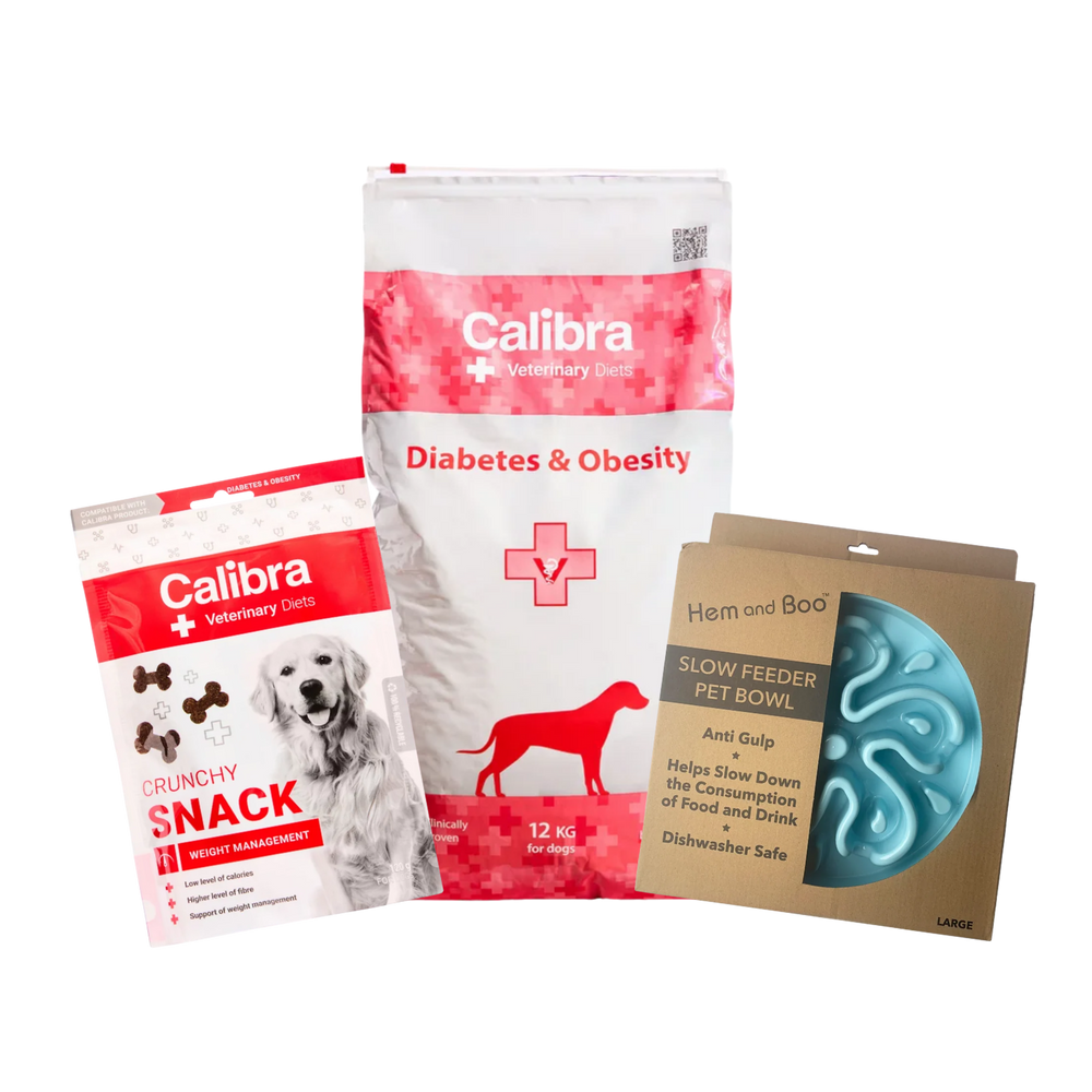 Obesity Bundle – Weight Management & Slower Eating
