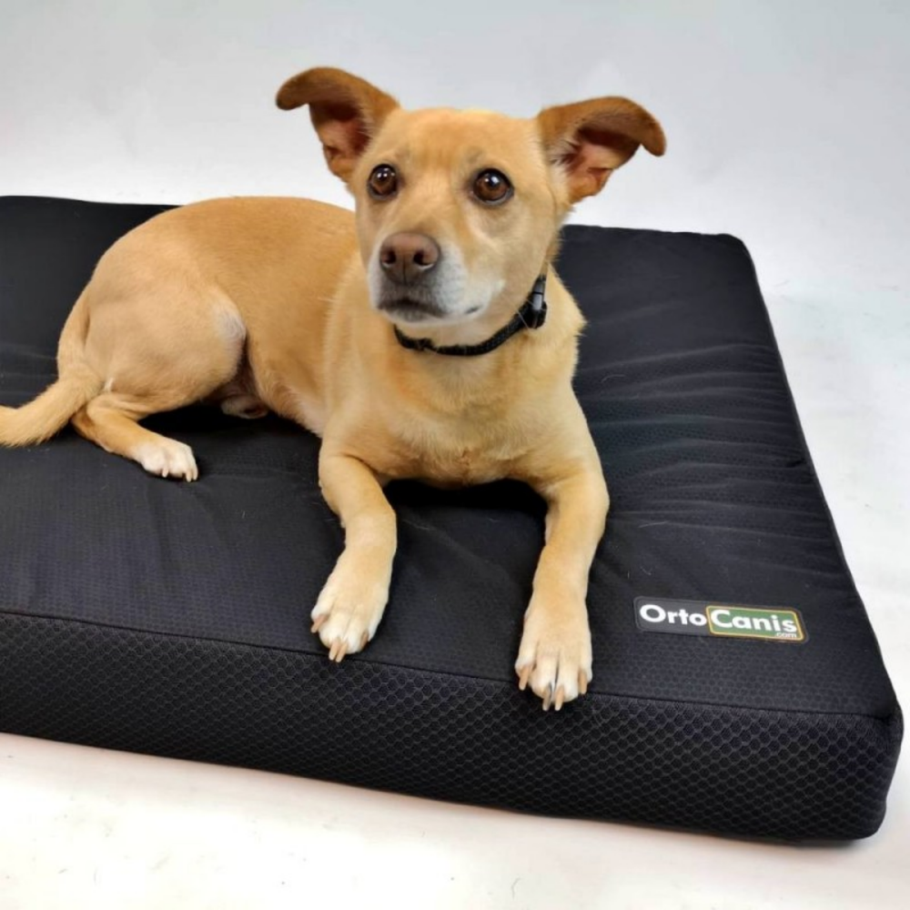 Orthopaedic Memory Foam Mattress for Dogs packaging – Pressure Point Reduction
