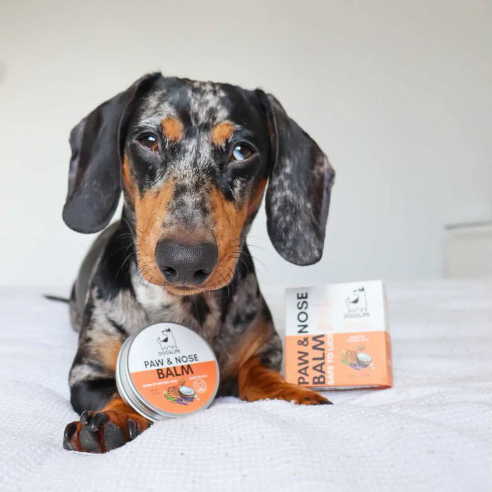 Paw & Nose Balm for Dogs - Soothes Dry & Cracked Skin product detail – Cracked Paw Relief