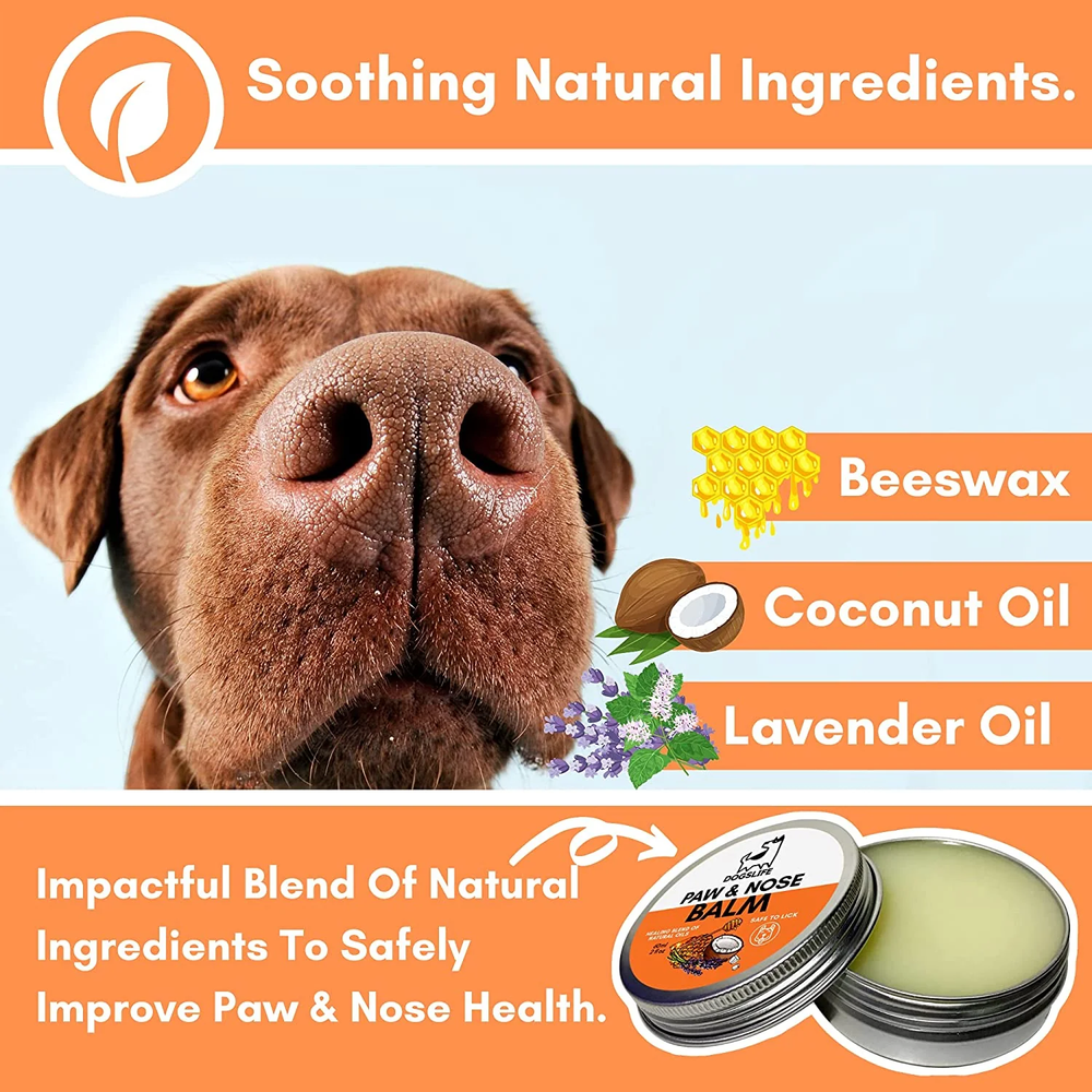 Paw & Nose Balm for Dogs - Soothes Dry & Cracked Skin usage view – Dry Nose Care