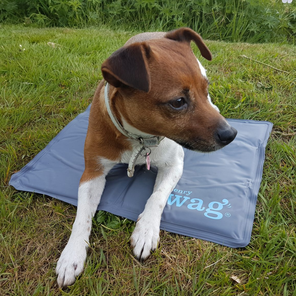 Henry Wag Dog Cooling Mat packaging – No Power Needed