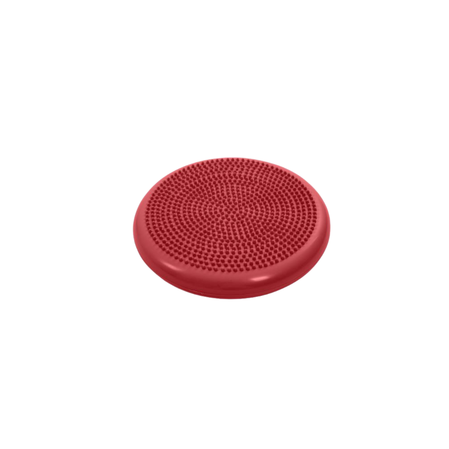 Physio Tactile Balance Discus for Dogs – Core Strengthening & Proprioception Support
