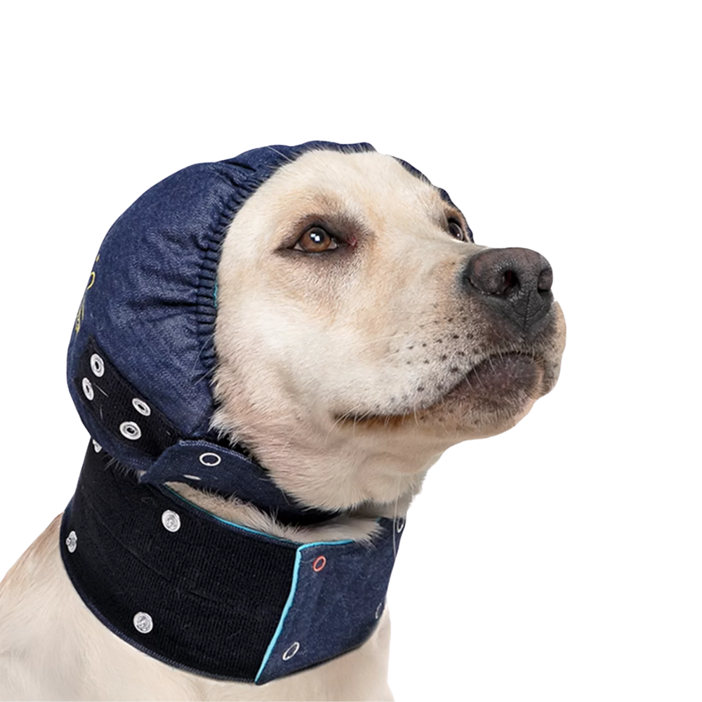 Post-Surgery Head Cover - Cone Alternative for Dogs – Cone Alternative & Post-Surgery