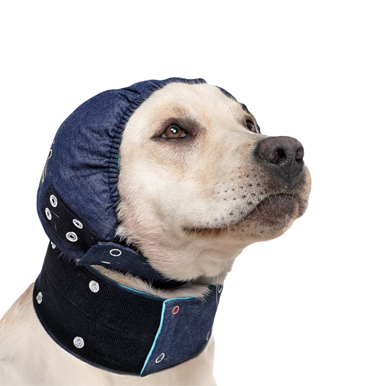 Post-Surgery Head Cover - Cone Alternative for Dogs – Cone Alternative & Post-Surgery