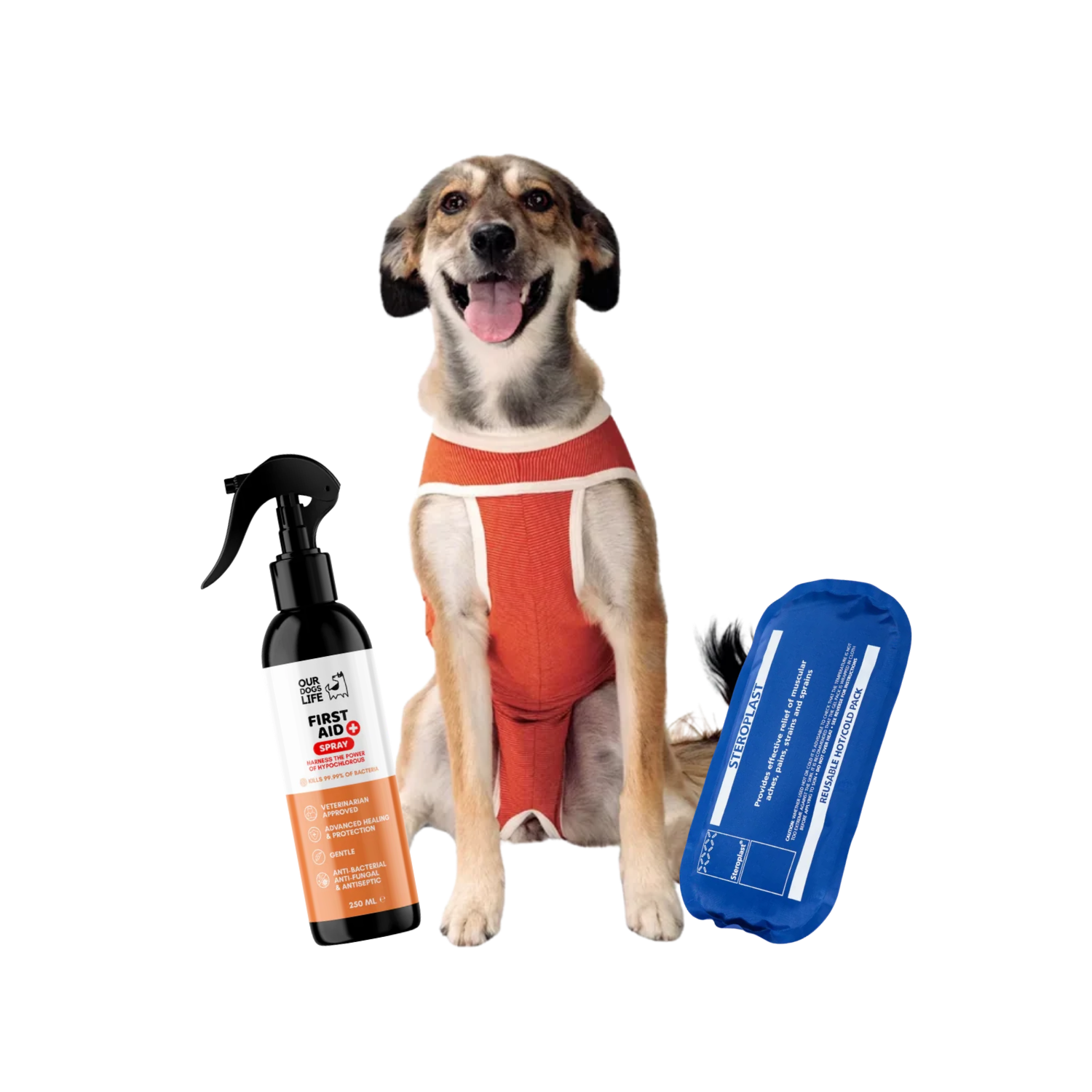 Post Surgery Recovery Bundle – Cone-Free Protection & Infection Support