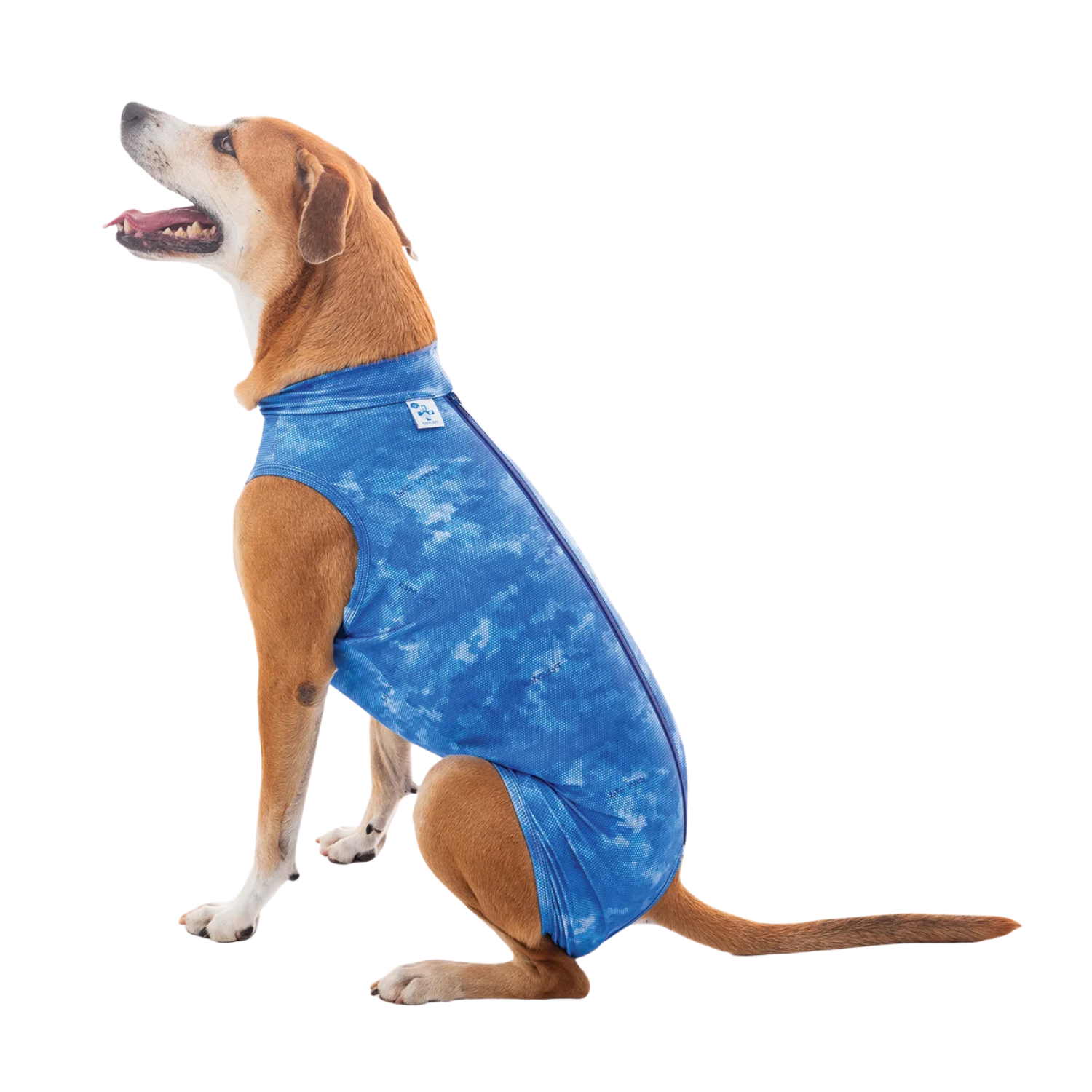 Post Surgical Castration Recovery Shirt for Male Dogs – Cone Alternative & Wound Protection