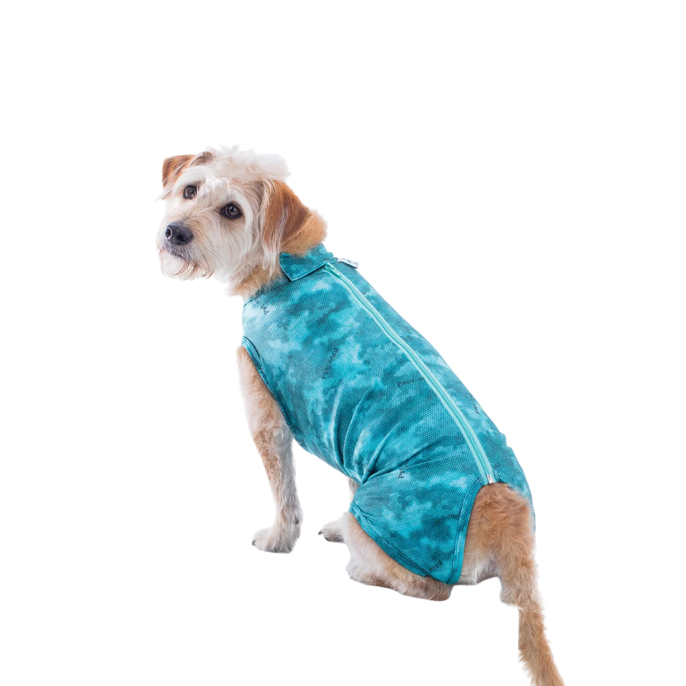 Post Surgical Recovery Shirt for Dogs – Wound Protection & Cone Alternative
