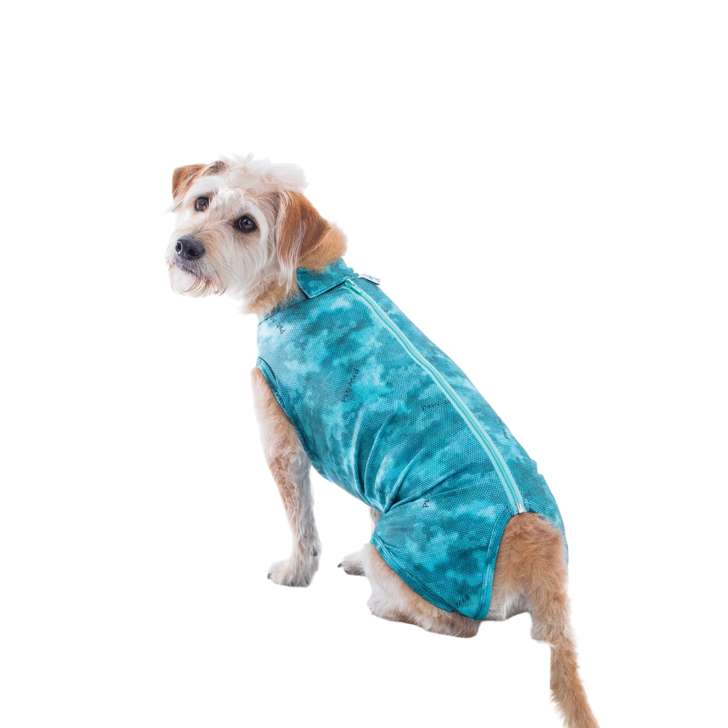 Post Surgical Recovery Shirt for Dogs – Wound Protection & Cone Alternative