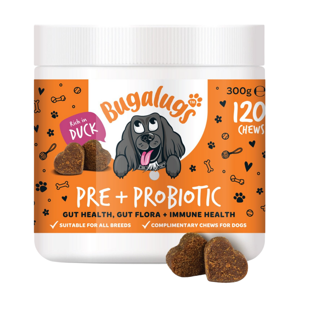 Pre & Probiotic Supplement Chews for Dogs