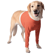 Copper-Infused Front Legs Recovery Body Shirt for Dogs
