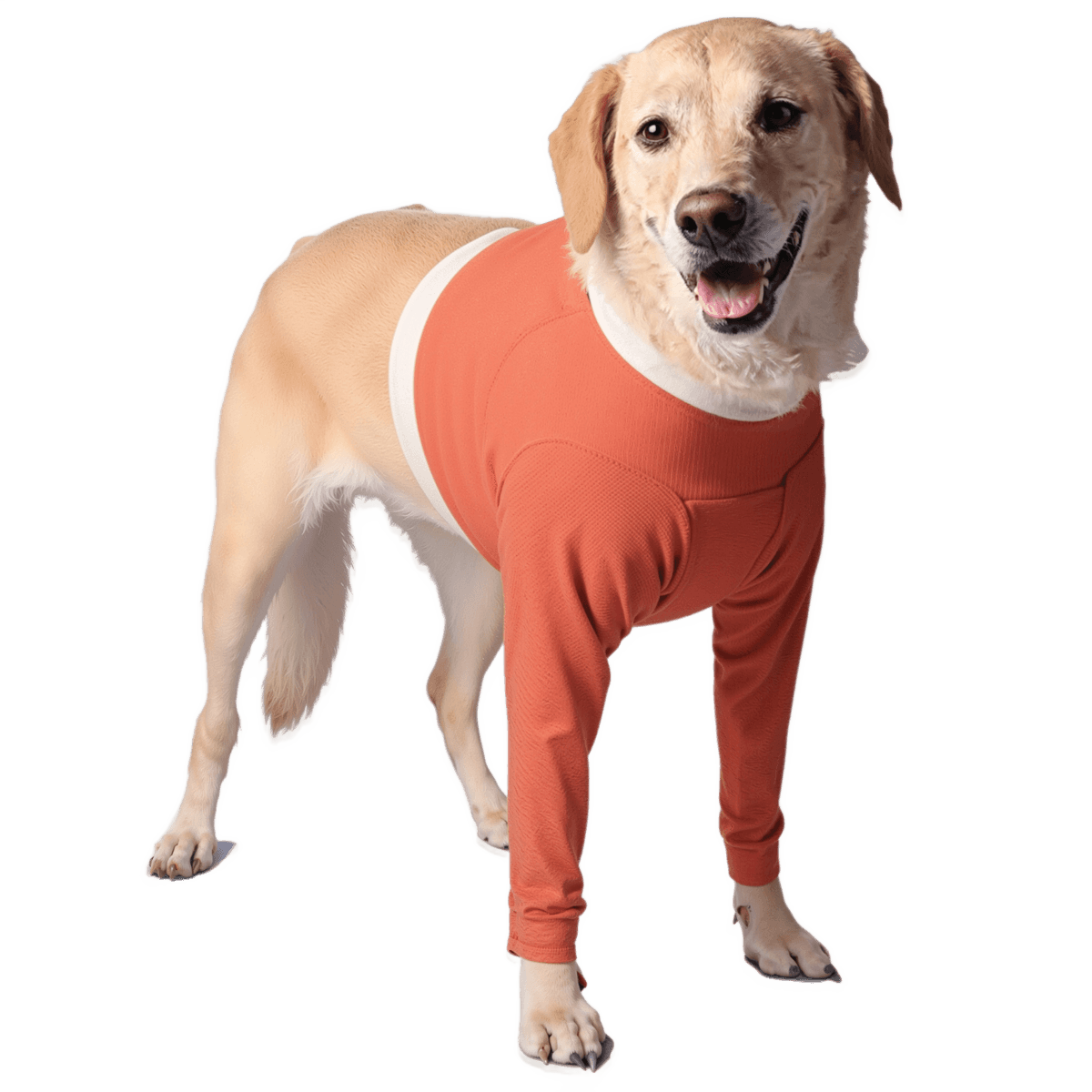 Copper-Infused Front Legs Recovery Body Shirt for Dogs