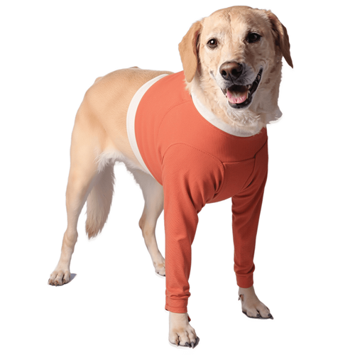 Copper-Infused Front Legs Recovery Body Shirt for Dogs
