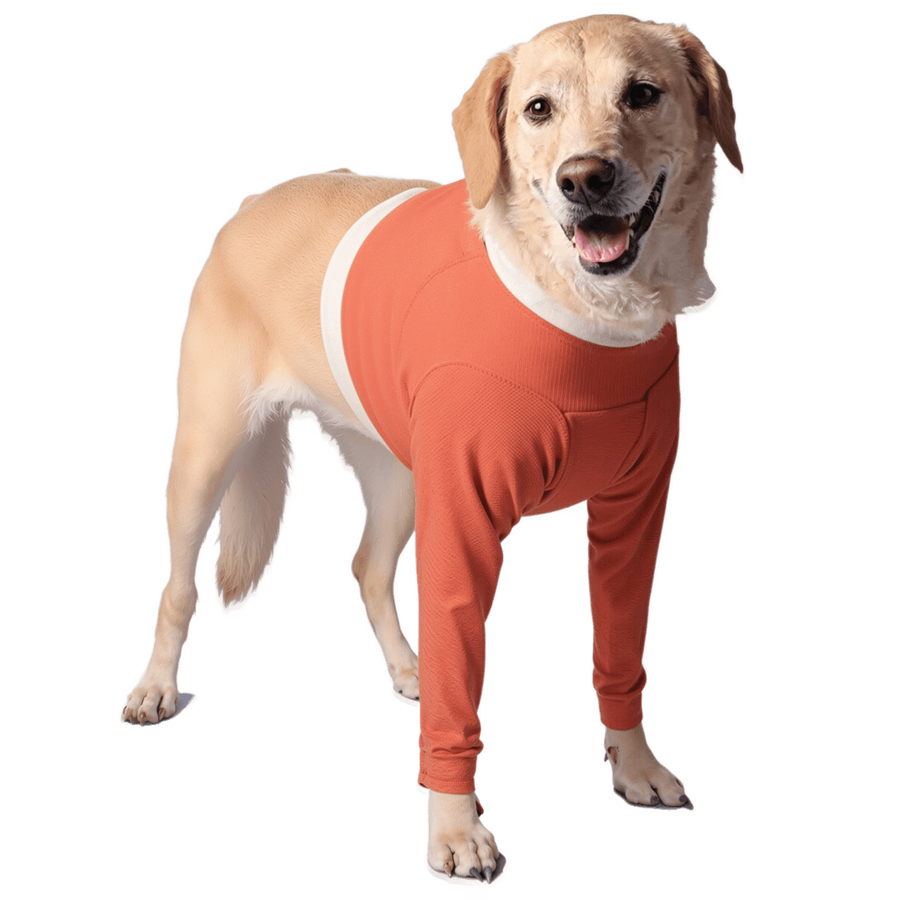 Copper-Infused Front Legs Recovery Body Shirt for Dogs