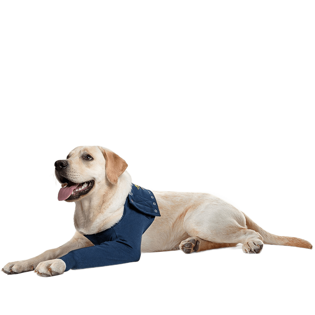 Medical Pet Shirt Front Leg Sleeve for Dogs
