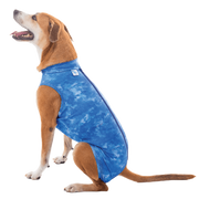 Post Surgical Castration Recovery Shirt for Male Dogs