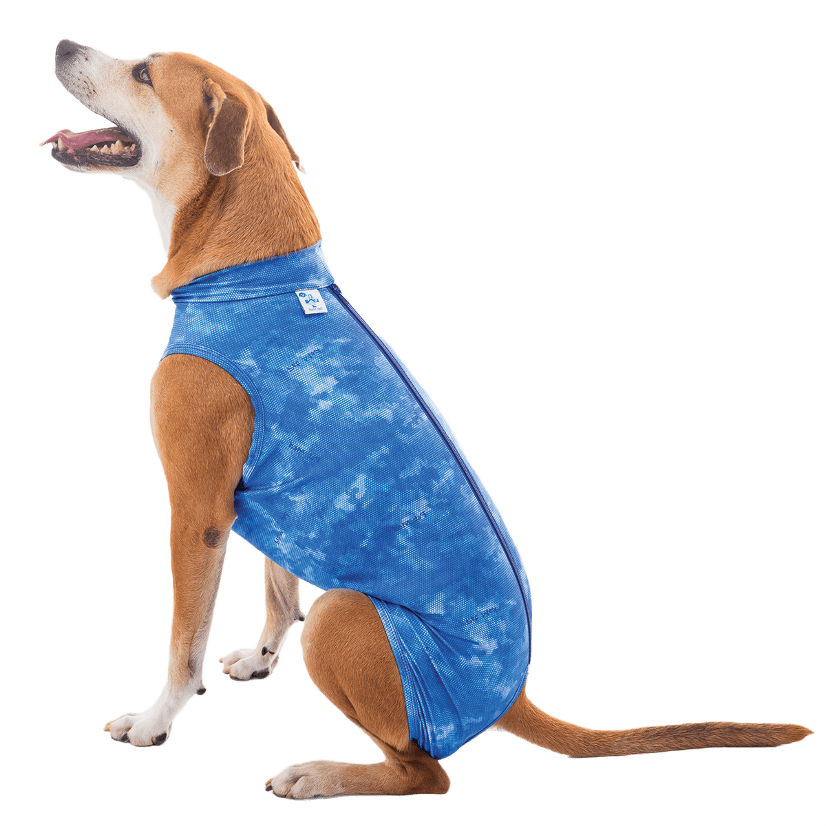 Post Surgical Castration Recovery Shirt for Male Dogs