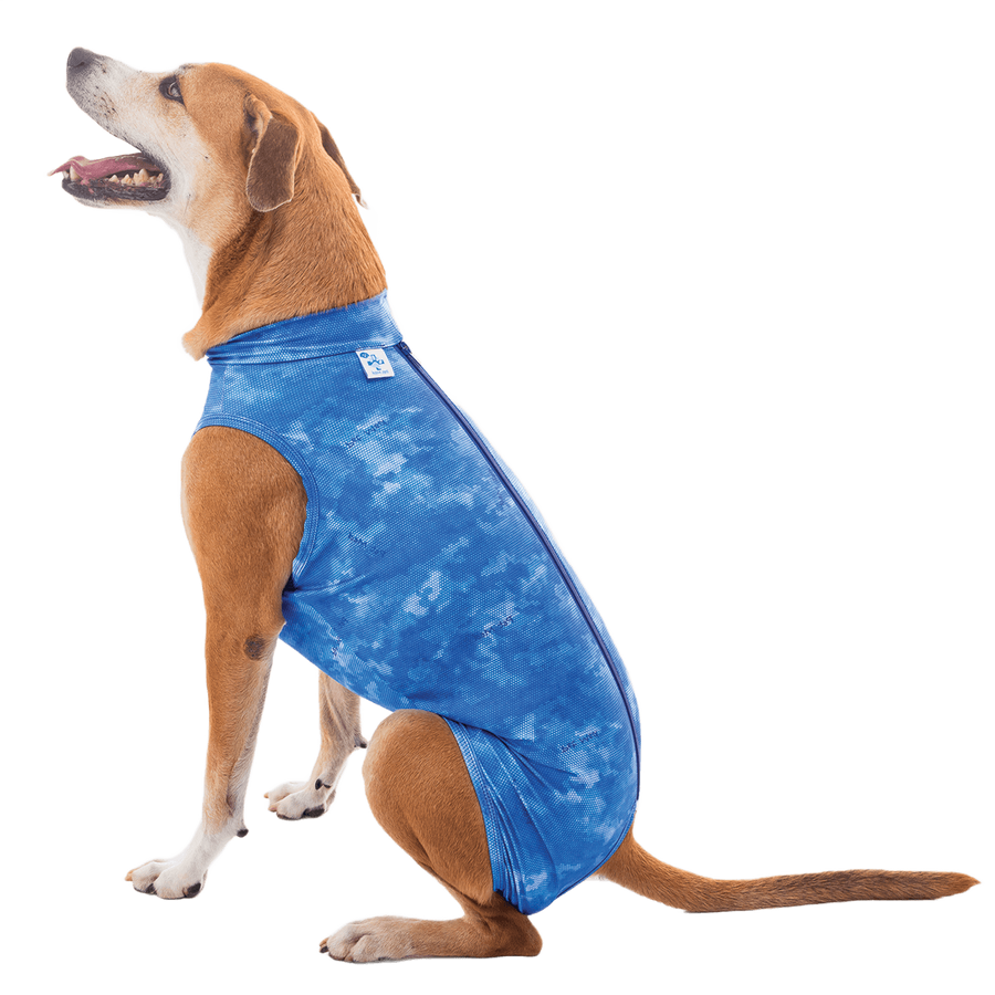 Post Surgical Castration Recovery Shirt for Male Dogs