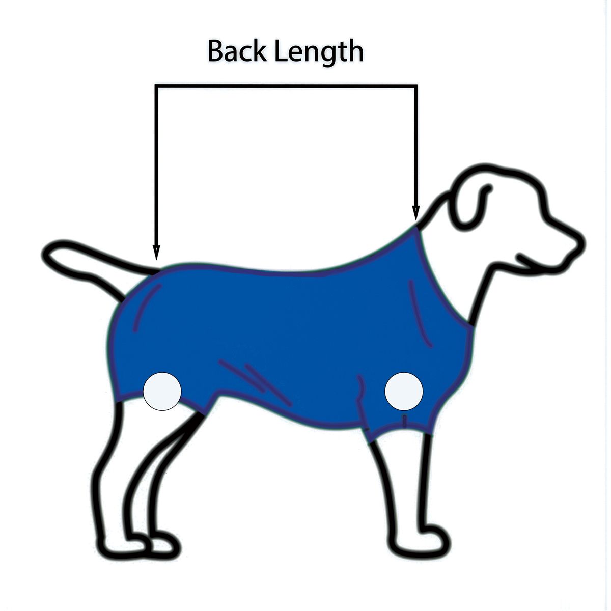 Post Surgical Castration Recovery Shirt for Male Dogs