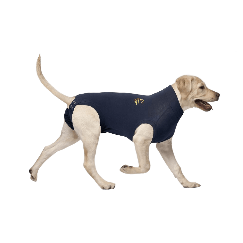 Medical Pet Shirt for Dogs — Post-Op Recovery Shirt