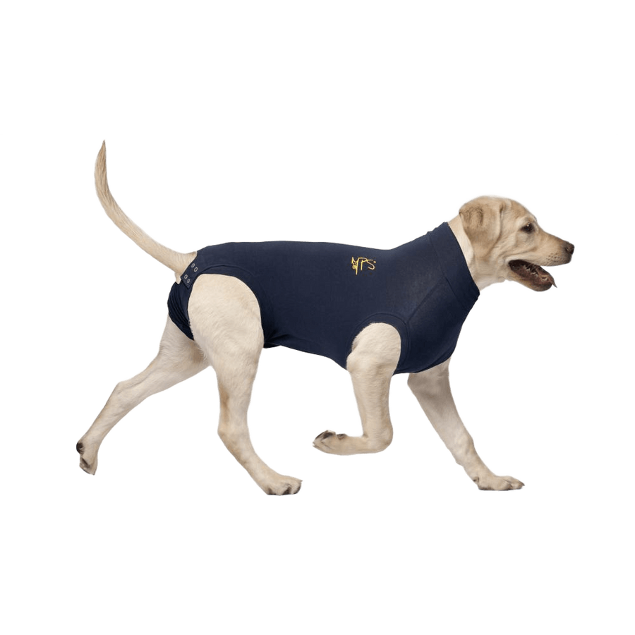 Medical Pet Shirt for Dogs — Post-Op Recovery Shirt