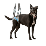 Rear Lift Harness for Dogs with Hind Leg Mobility Problems