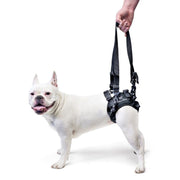 Rear Lift Harness for Dogs with Hind Leg Mobility Problems