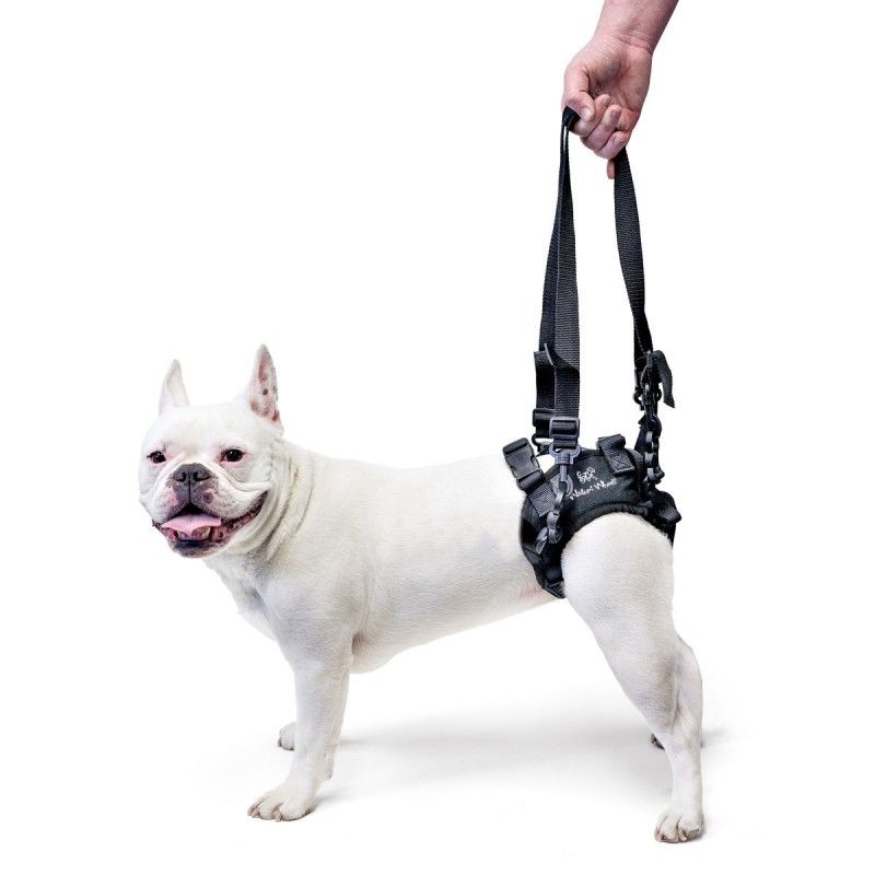 Rear Lift Harness for Dogs with Hind Leg Mobility Problems