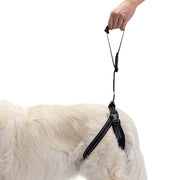 Rear Support Harness for Dogs with Hip & Mobility Issues