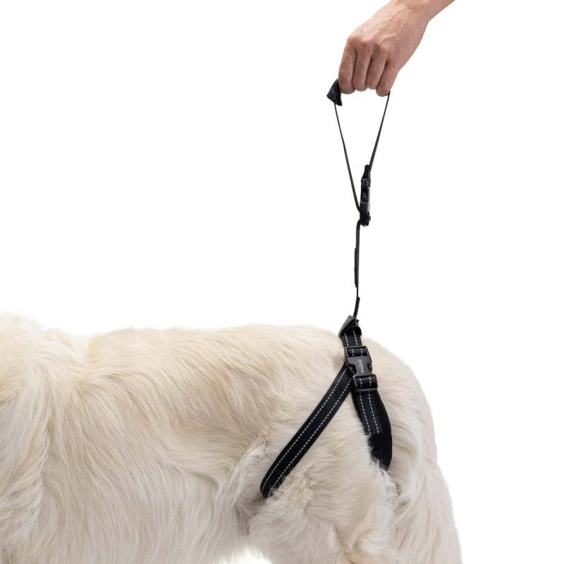 Rear Support Harness for Dogs with Hip & Mobility Issues