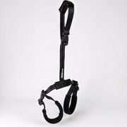 Rear Support Harness for Dogs with Hip & Mobility Issues