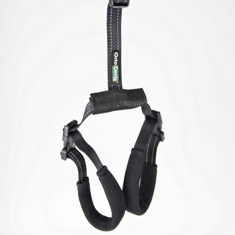 Rear Support Harness for Dogs with Hip & Mobility Issues