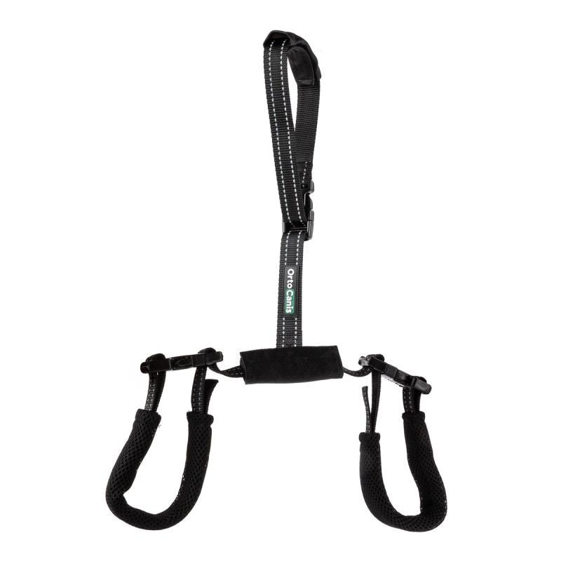 Rear Support Harness for Dogs with Hip & Mobility Issues