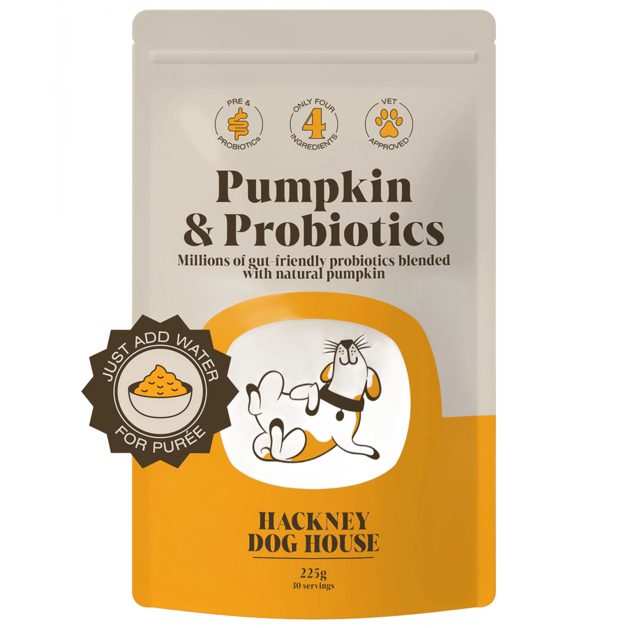Pumpkin Probiotic Powder for Dogs — 30 Servings