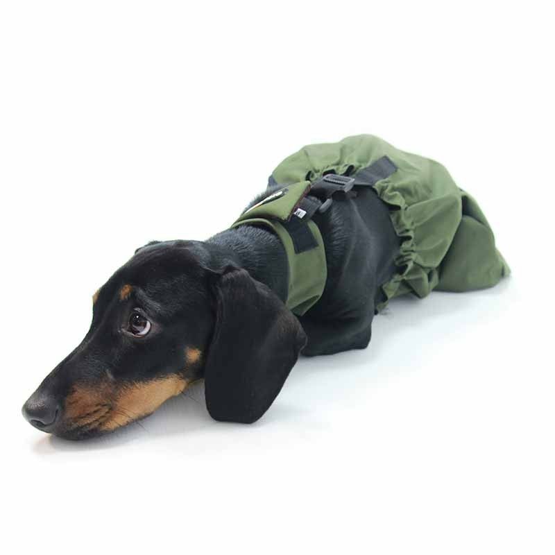 Drag Bag for Paralysed & Disabled Dogs