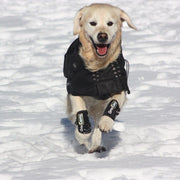 Waterproof Thermal Coat for Dogs with Arthritis & Active Dogs