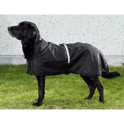 Waterproof Thermal Coat for Dogs with Arthritis & Active Dogs