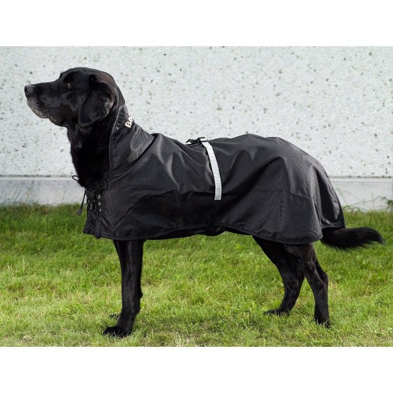 Waterproof Thermal Coat for Dogs with Arthritis & Active Dogs